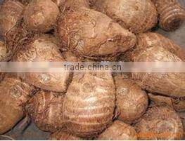 meat food autoclave equipment chiller truck back box