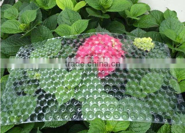Hydroponic wheat/barley/rice/paddy seedling tray breeding