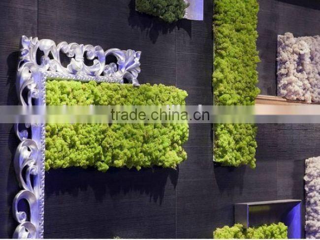 competitive price plastic/artificial plant wall for landscaping