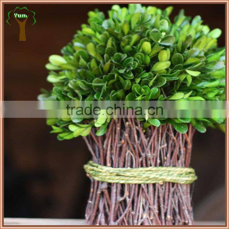 preserved boxwood bundle