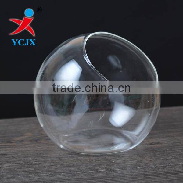 Hand Made Clear Round Glass Flower Terrarium