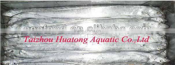 high quality A grade ribbon fish whole and round