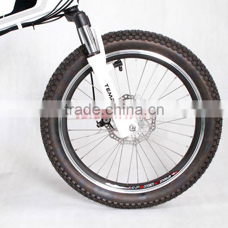 electric bike with LI-ion battary