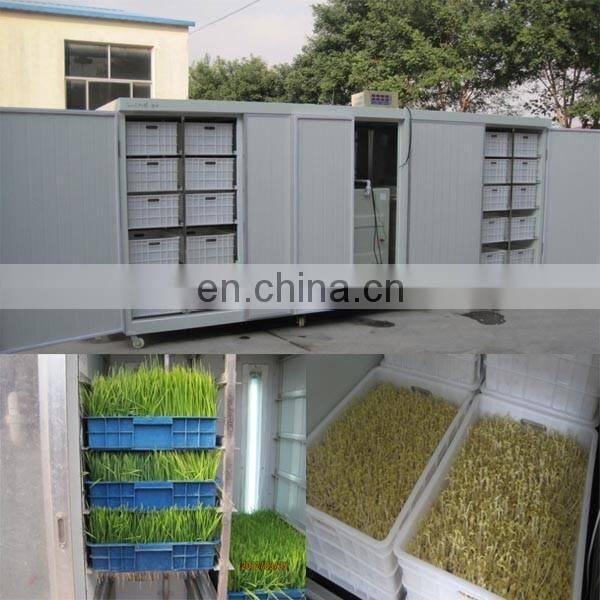 Factory Directly Supply Lowest Price Soya bean sprout making machine Garlic sprout maker machine Mung bean grower