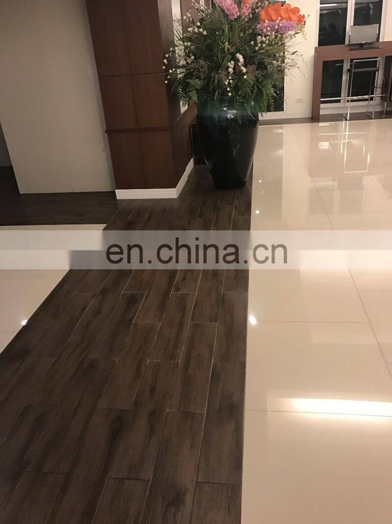 Ivory white 600X600 Indian Promotion Cheap Soluble Salt polished Tile