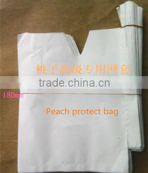 Fruit cover peach bag/kiwi fruit bag/mango bag