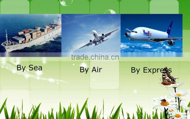 monkey plush dog toys wholesale