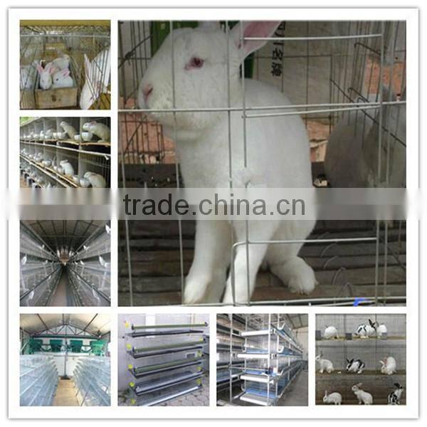 professional manufacture rabbit cage for poultry farm shed
