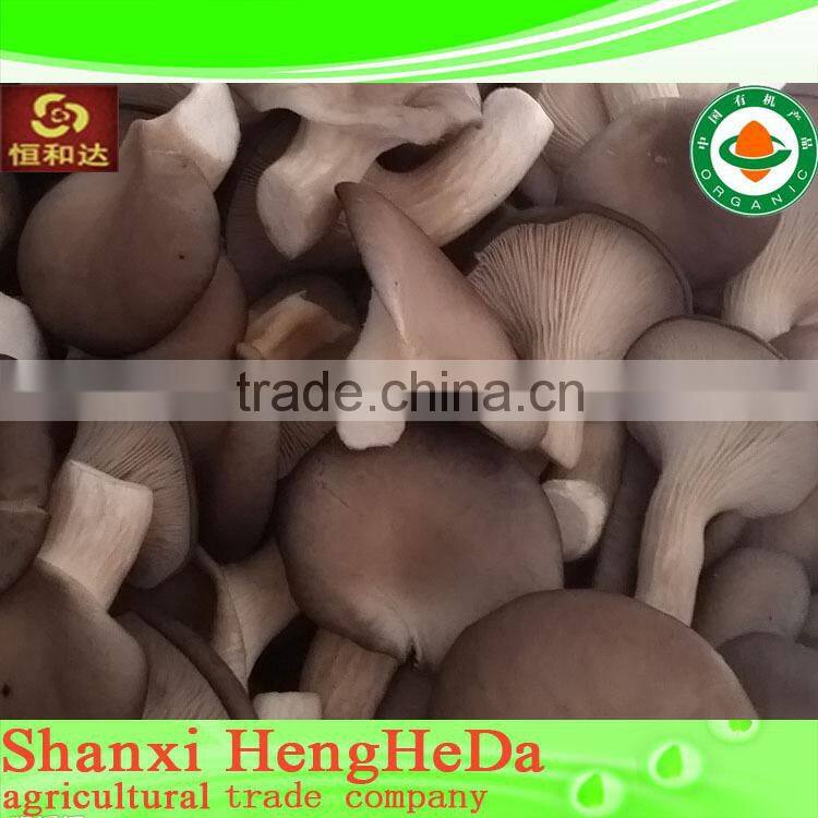 for selling clear to mind dried shiitake mushroom