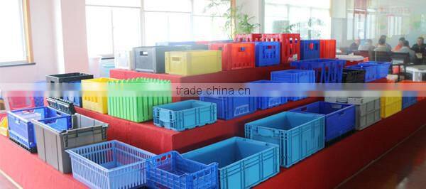 Professional Customized injection moldings