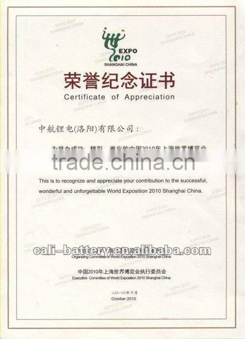 180Ah battery pack for Shanghai 2010 World Expo