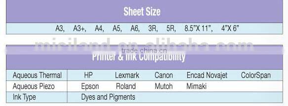 Factory Sell Real colors Misiland Matte Coated inkjet Printing photo paper A4/4R/A3 /roll (108gsm-180gsm)