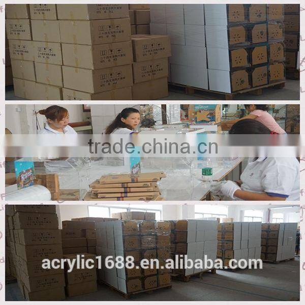 Acrylic 8x10 double sided glass photo frame