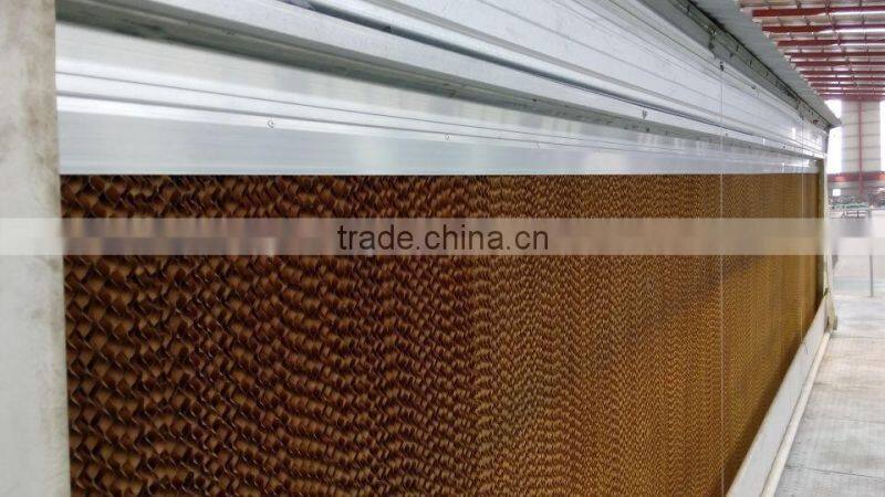 broiler ground raising equipment chicken house