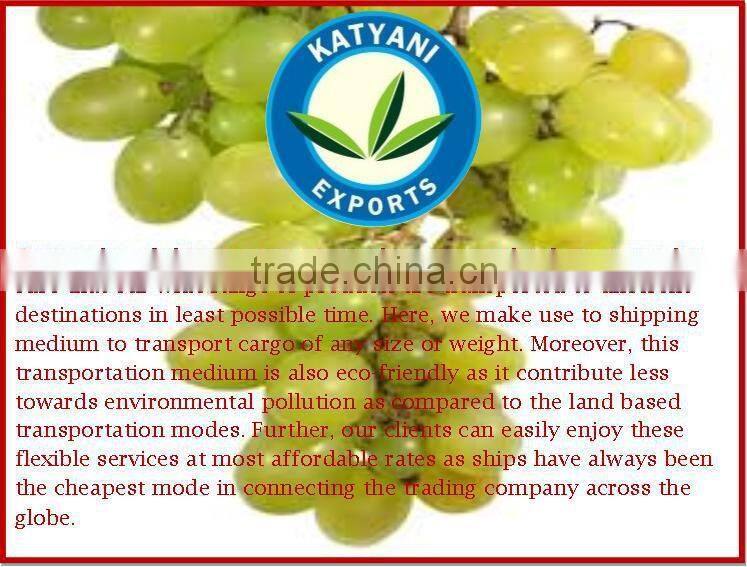 Reliable Supplier for Grapeseed Oil Refined