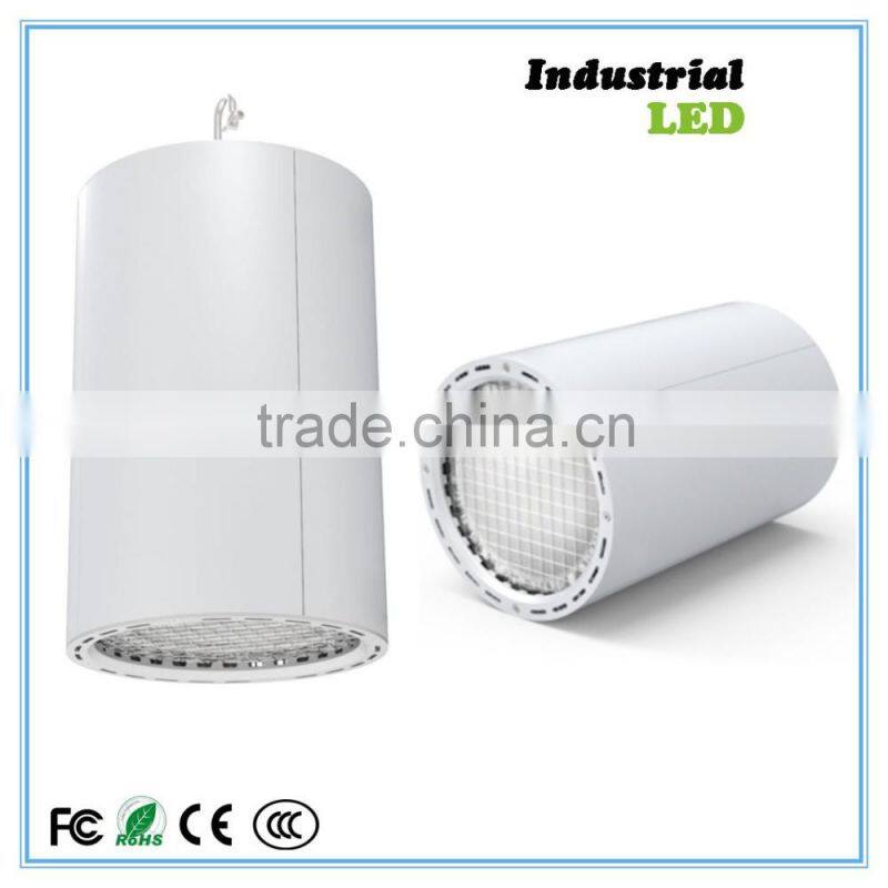 LED hanging outdoor cool white down light