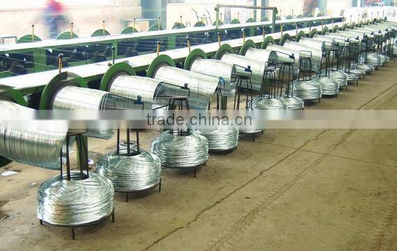 new product galvanized wire galvanized steel wire 5m 3m 1m for Cable Armouring