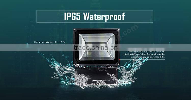 AC85-265V IP65 waterproof outdoor projector outdoor using led light