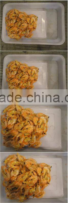 Dry Prawn Stock