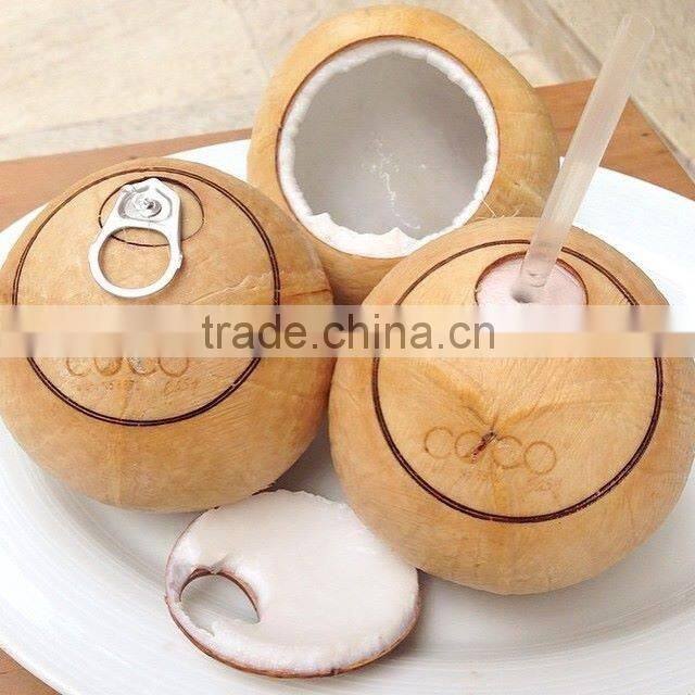 Machine Make Coconut Like Coco Easy