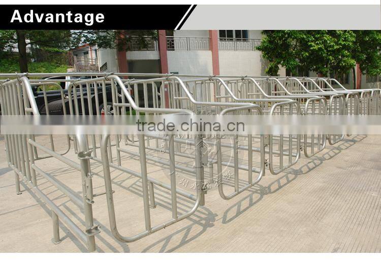 2.0mm Galvanized Pipe Pig Limit Crate Swine Gestation Cage for Pig Farm Equipment