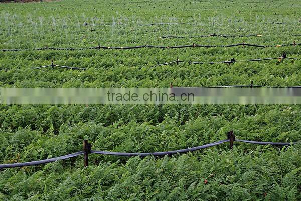 PE pipe /drip tape/sprinkler hose in garden and agriculture field