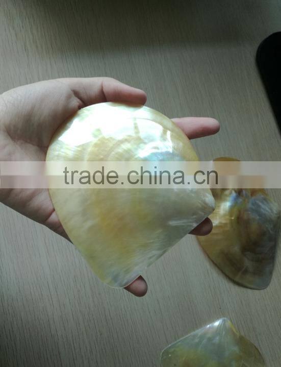 Wholesale polished white yellow mother of pearl raw shells