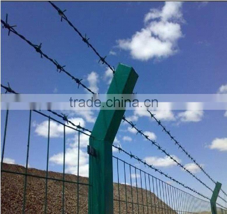 Galvanized iron Coiled Barbed Wire