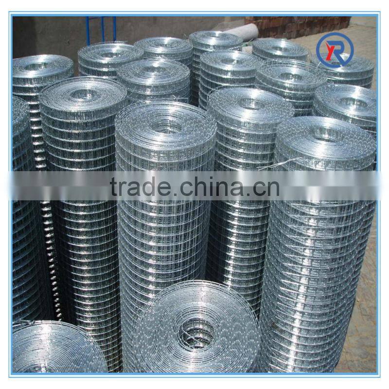 china supplier 2x2 welded wire mesh,low price galvanized welded mesh
