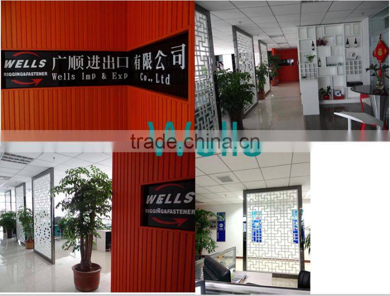 Vital Lifting Chain hosit