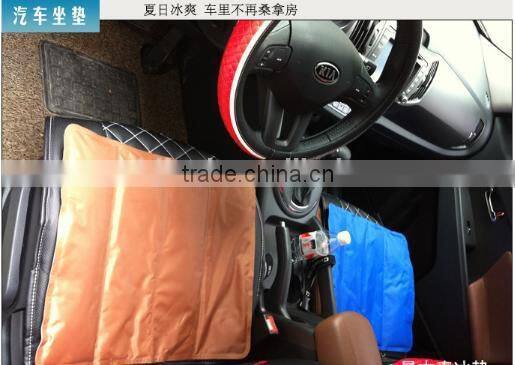 newest and eco-friendly ice pad , ice cushion for computer for pet