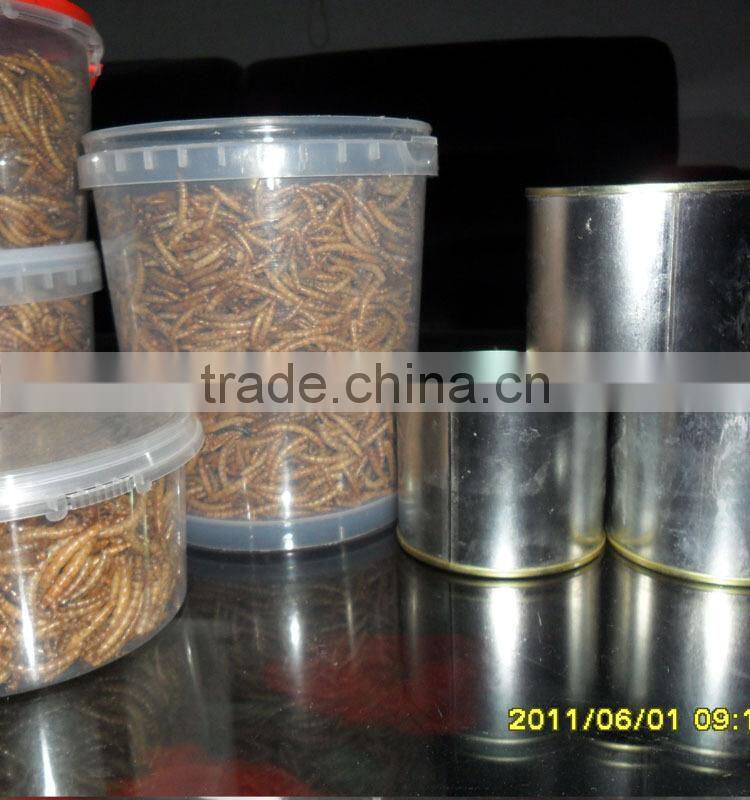 Wholesale and Retail Dried Freshwater Shrimp