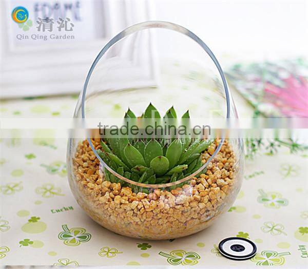 oval glass vase wholesale