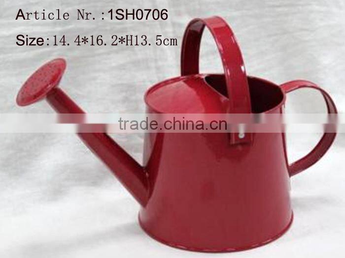 2016 Hot sale promotional metal decal water can