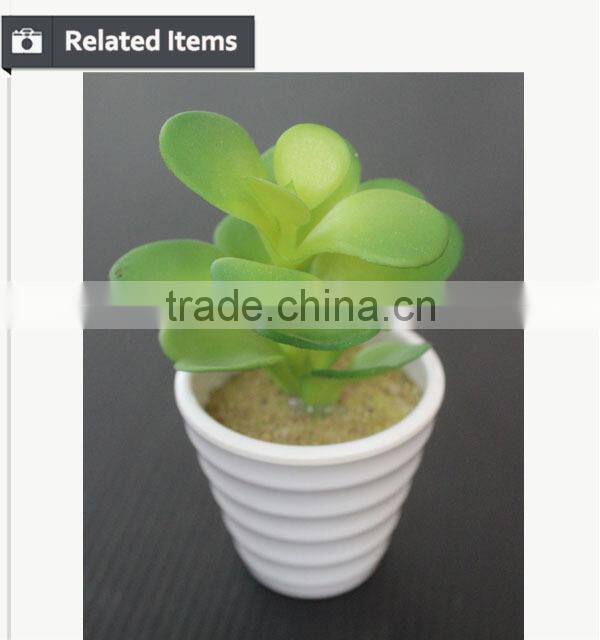 Hot sale artificial potted plants chinese succulent plants