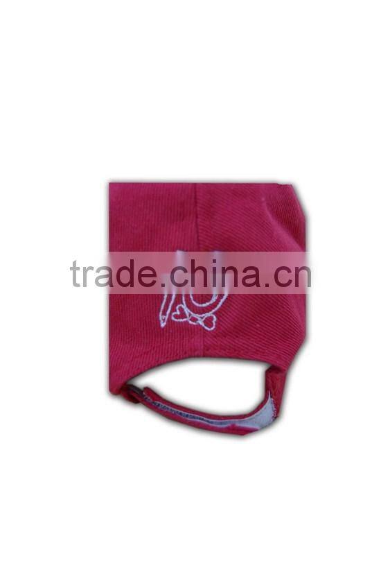 ISO9001 BSCI cap UK/AU/USA hat own design basketball trucker hats