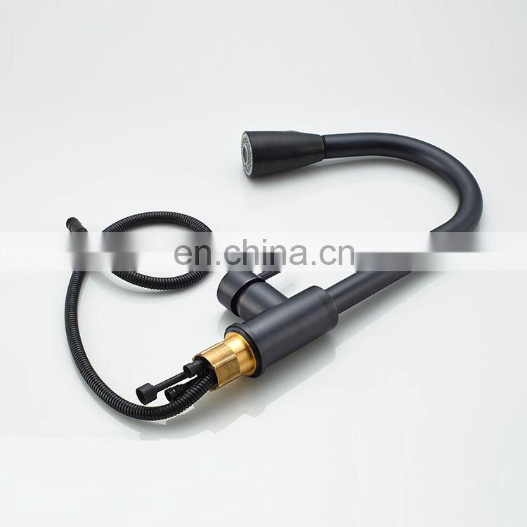 Pull out dual function flexible bathroom sink kitchen faucet,kitchen mixer