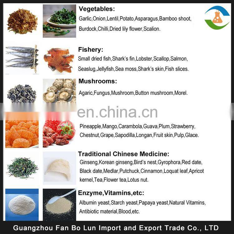 Manifold Mini Freeze Dryer Lyophilizer