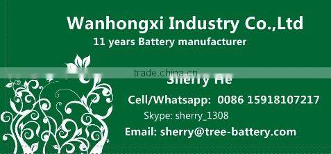 Manufacture Smf Agm Battery 12v 17ah 12v Rechargeable Lead Acid Battery 17AH 18AH 22AH
