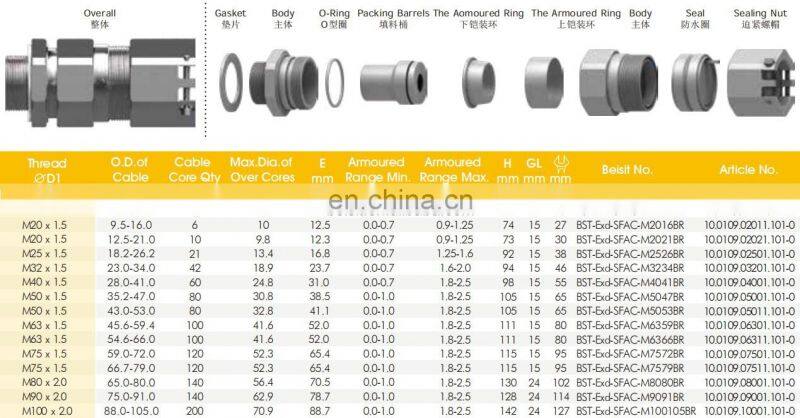 Direct Factory Flameproof Double Locking Single Sealing Stuffing EMC Cable Connector Gland Manufacturer