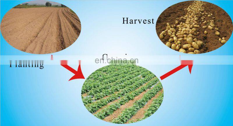 Agricultural Manual Hand Sweet Potato Planter Transplanter Machine Price