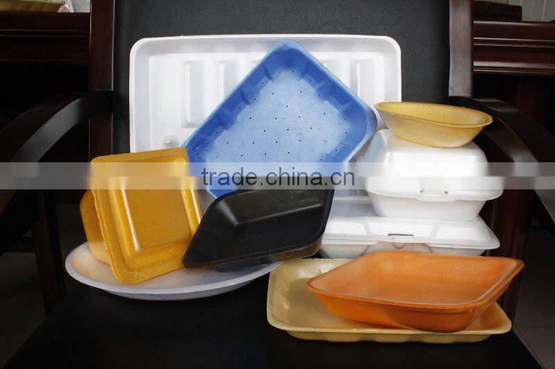 PS Foam Meat Tray Machine (CE Approved TY1040)