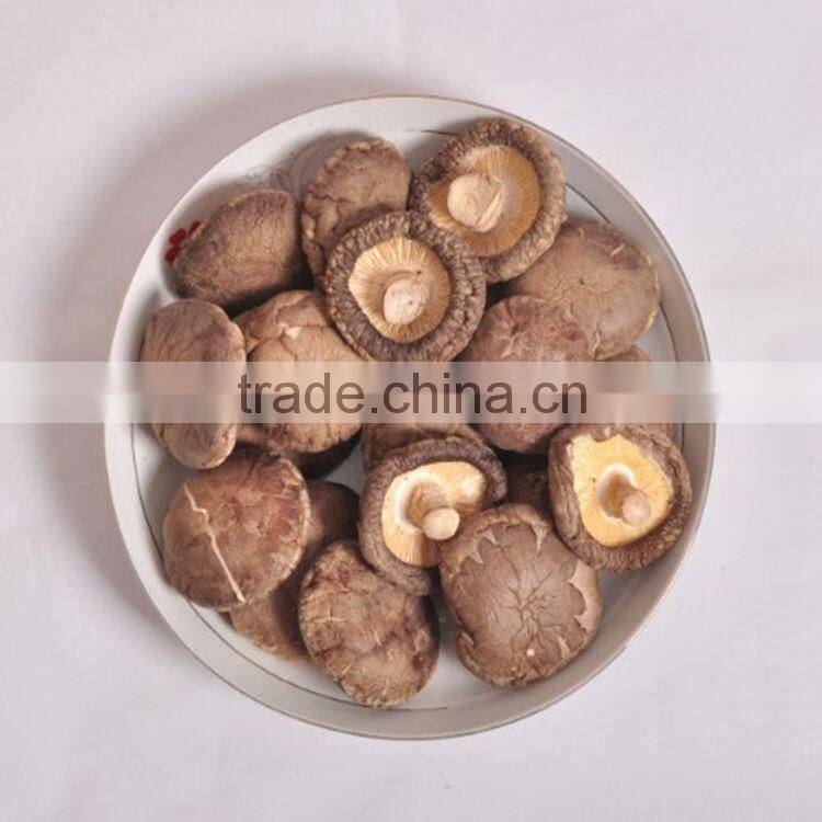 Dried Smooth Shiitake Mushroom 1KG