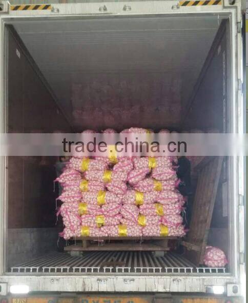 China garlic pric