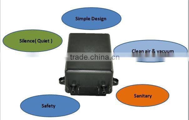 new economic mini linear air pump