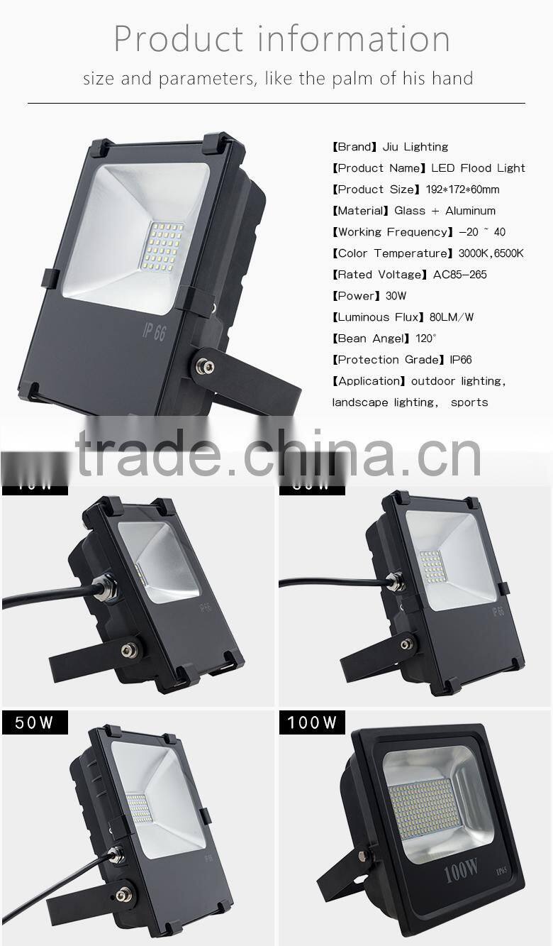 30W explosion-proof IP66 led light with CE RoHs led flood light