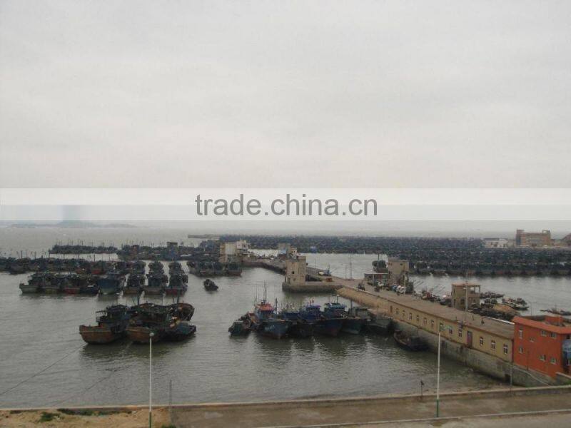 2016 Newly 16pcs/kg Light Seine Frozen Round Scad