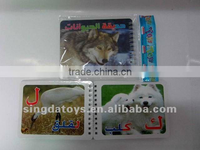 English series recognize things literacy small coil book ( Letter )