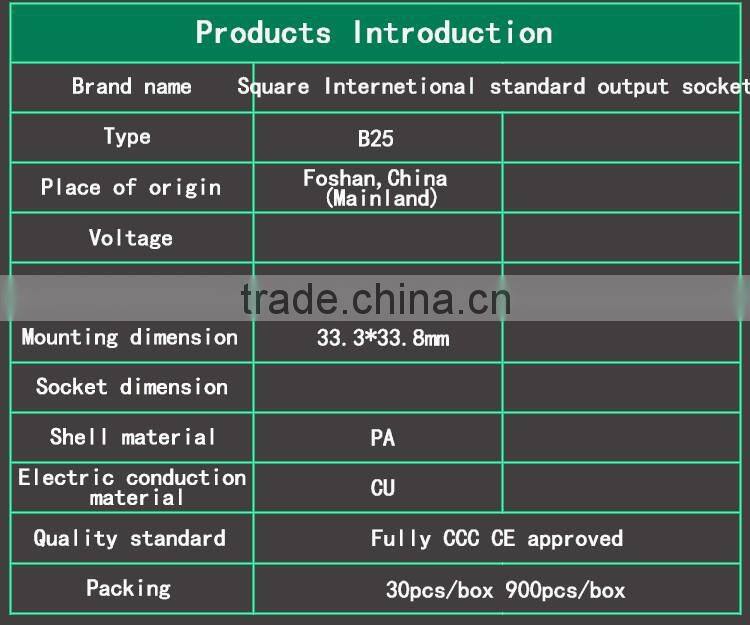 Square Internetional standard output socket