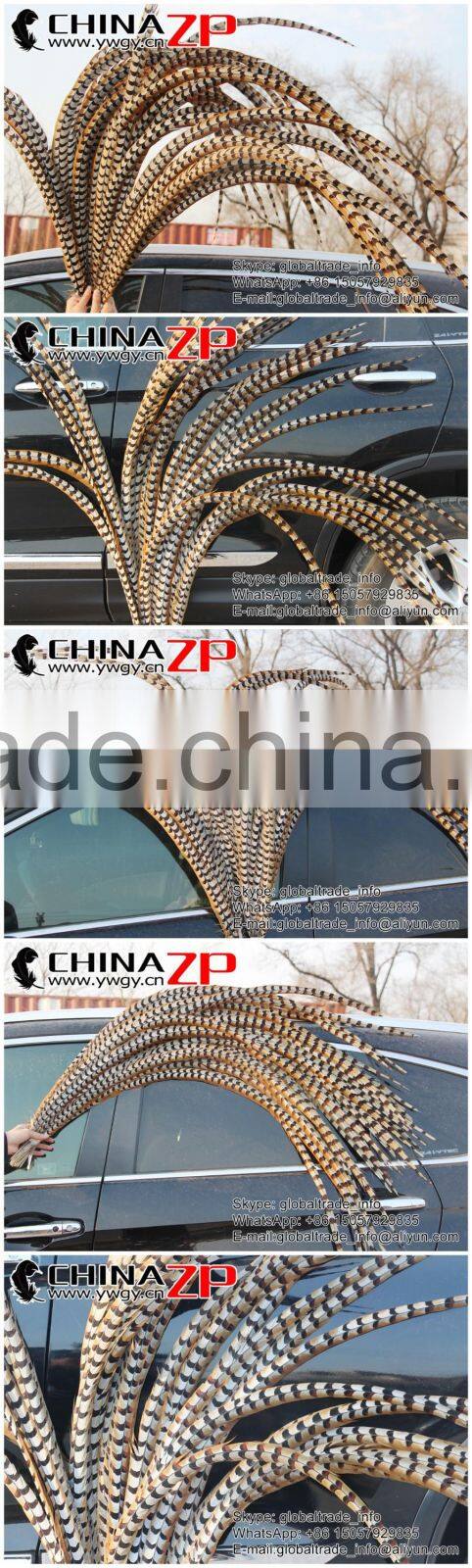CHINAZP Bulk Sale Selected Prime Quality Natural 5-10cm Size Reeves Venery Pheasant Feathers for DIY Decorations